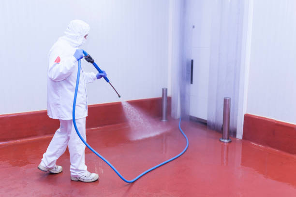 Reliable Esparto, CA Pressure Washing Solutions