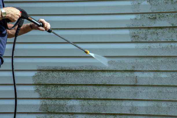 Best Driveway Pressure Washing  in Esparto, CA
